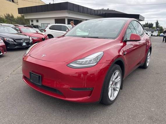 TESLA MODEL Y 2021 5YJYGDEE0MF079249 image